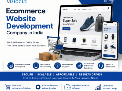Ecommerce Website Development Company in India | Visiogle