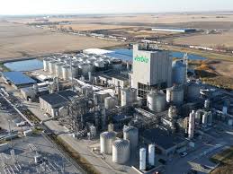 Kerone Biochar – Turning Waste into Clean Energy and Valuable Resources