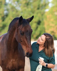 Horse Fly Spray UAE | The Naturally Kind Co