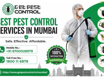 Best Pest Control Services in Mumbai | Free Quotes