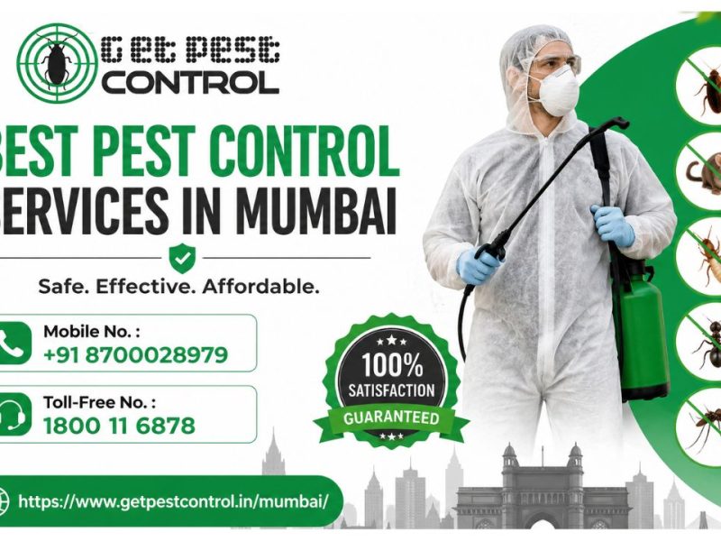 Best Pest Control Services in Mumbai | Free Quotes