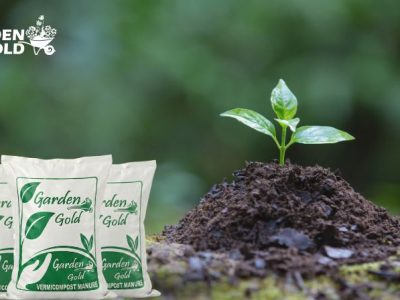 Sustainable Farming with Organic Vermicompost Fertilizers