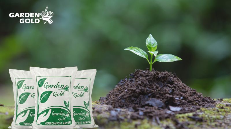 Sustainable Farming with Organic Vermicompost Fertilizers