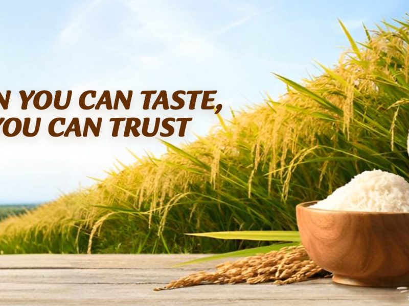 Top 10 Basmati Rice Exporters From India | Trusted Global Supplier