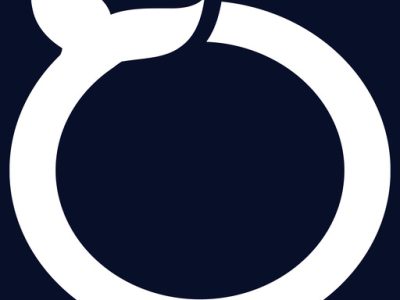 Software Orca - Top mobile app development company Houston