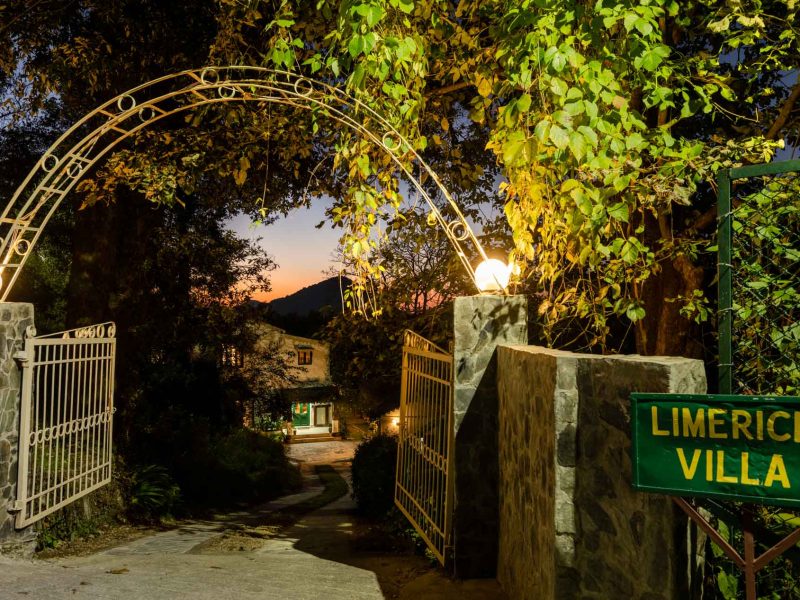 Pet Friendly Luxury Villas for Family | V Are Family