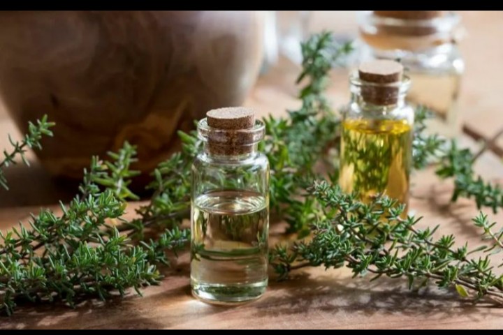 Premium Cold-Pressed Hemp Oil for Everyday Wellness
