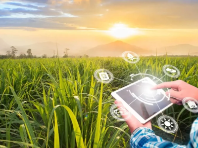 Agriculture Software Solutions Bangalore | Agri Tech Companies