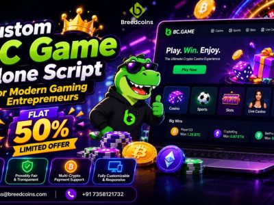 Custom BC Game Clone Script for Modern Gaming Entrepreneurs