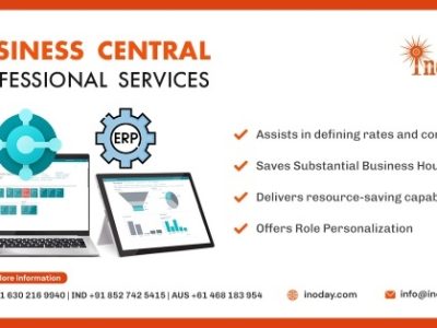 Professional Growth through Business Central Services