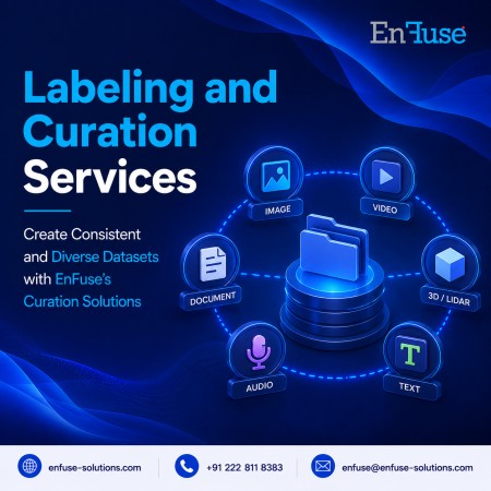 Create Consistent and Diverse Datasets with Curation Solutions from EnFuse