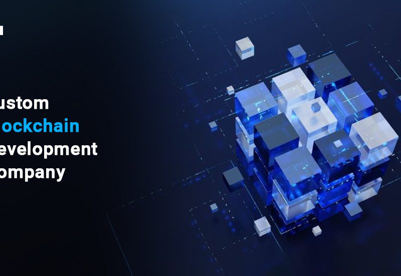 Work With a Custom Blockchain Development Company That Builds for Your Vision