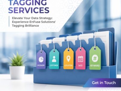 Elevate Your Data Strategy: Experience EnFuse Solutions' Tagging Brilliance