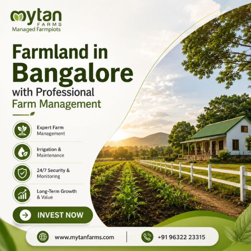 Farmland in Bangalore with Professional Farm Management