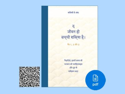 PDF Hindi Language - The True School Is Life