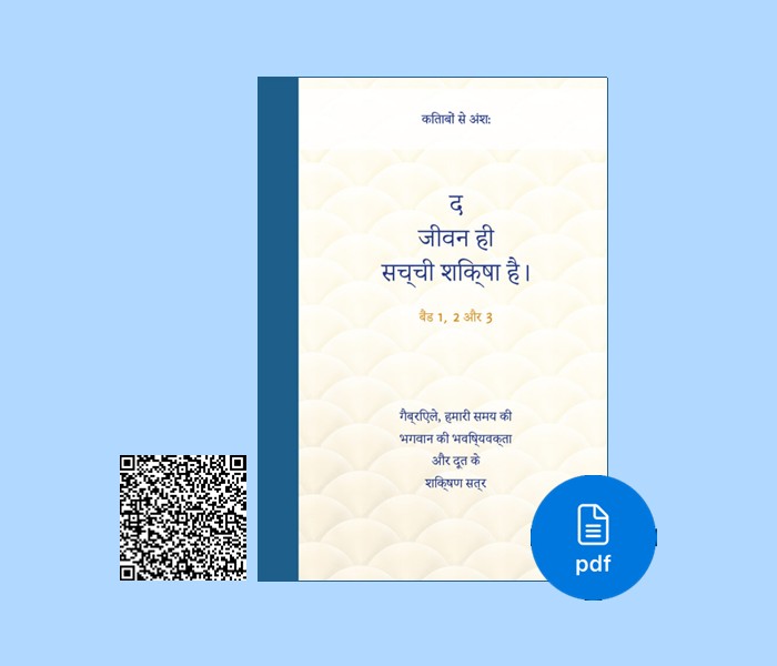 PDF Hindi Language - The True School Is Life