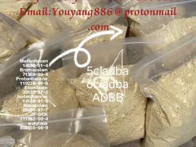 Supplier supply High Quality CAS 125541-22-2 With Best Price