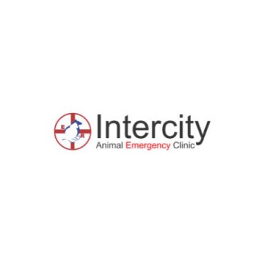Intercity Animal Emergency Clinic