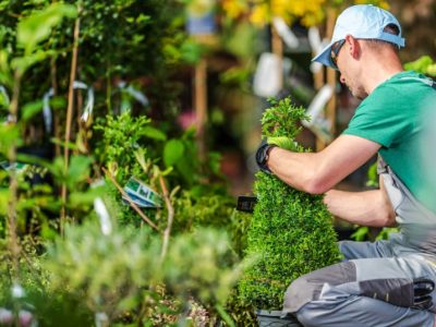 Landscaper In Hollister