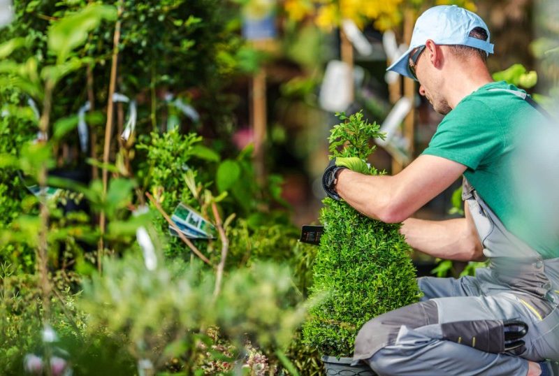 Landscaper In Hollister
