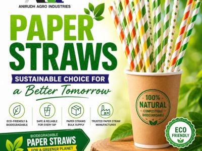 Paper Straws Manufacturer for Bulk & Wholesale Orders