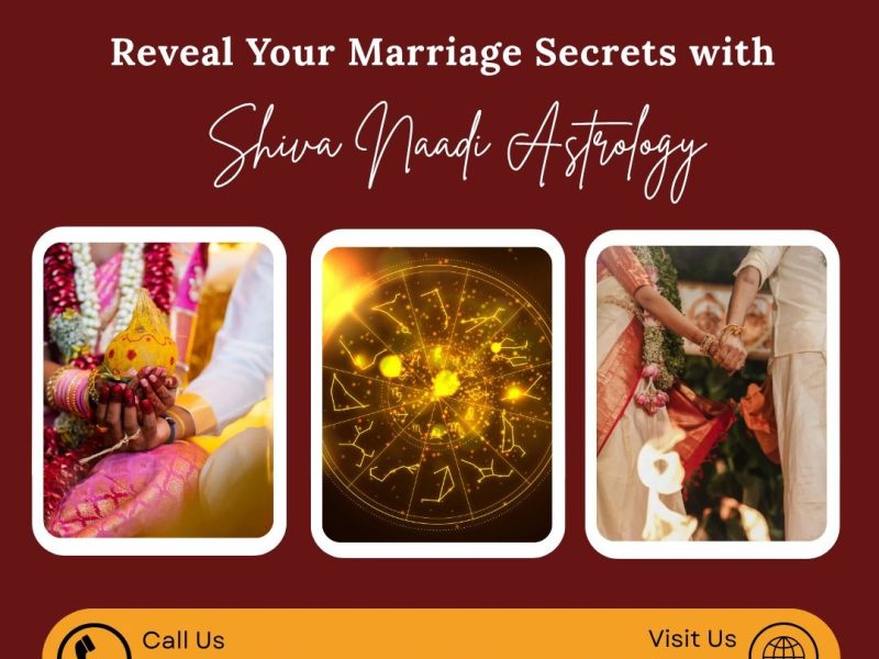 Best Naadi Astrology for Business Success & Financial Growth in India