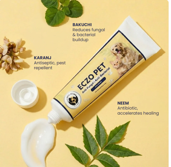 Soothe Your Pet's Itchy Skin Naturally