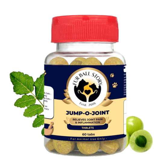 Keep Every Step Comfortable with Jump-O-Joint