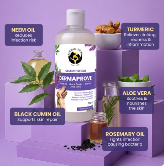 Keep Your Dog's Skin Healthy with Herbal Bath Care