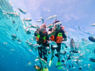 Honeymoon tours for newly weds