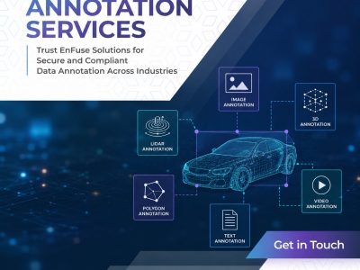Trust EnFuse for Secure and Compliant Data Annotation Services