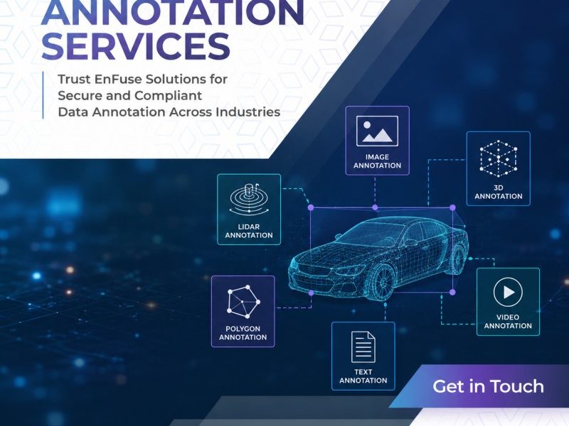 Trust EnFuse for Secure and Compliant Data Annotation Services