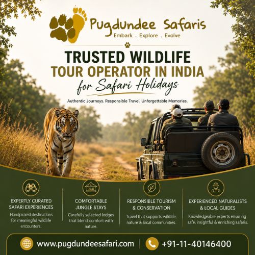 Trusted Wildlife Tour Operator in India for Safari Holidays