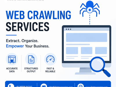 Professional Web Crawling Services for Reliable Business Data