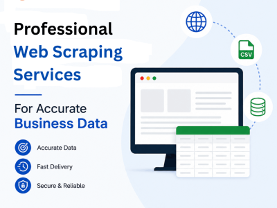 Professional Web Scraping Services for Accurate Business Data