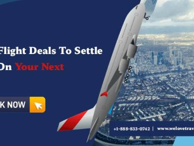 Best Flight Deals to Settle | Save on Your Next Trip