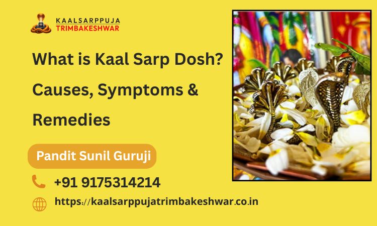 What is Kaal Sarp Dosh? Causes, Symptoms & Remedies