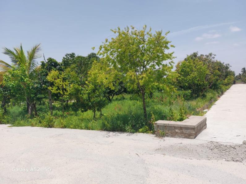 Premium Farm Units for Sale Near Ghati Subramanya Road – Doddaballapura