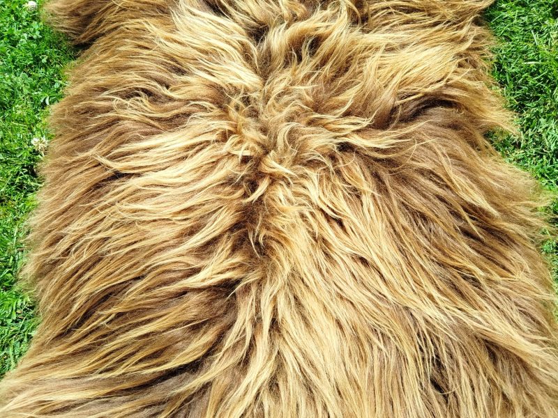 Heidschnucke Sheepskins