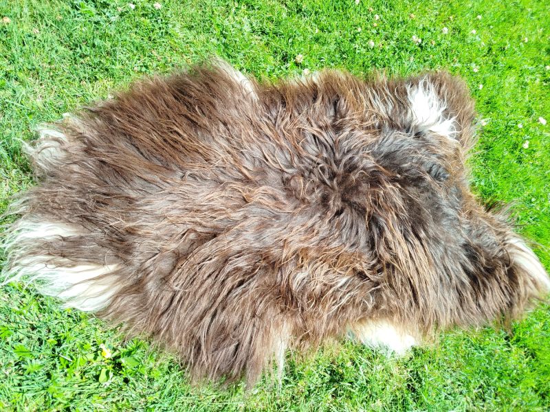 Heidschnucke Sheepskins