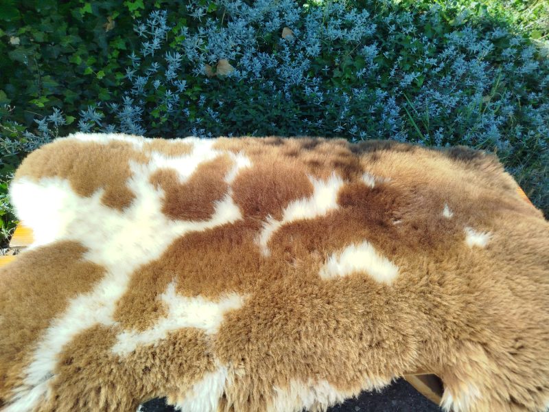 Dutch Sheepskins