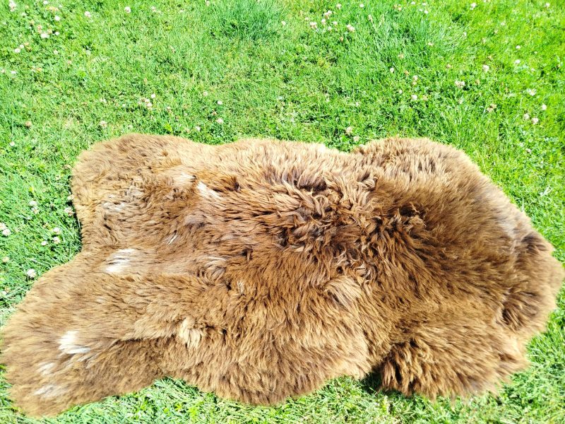 Dutch Sheepskins