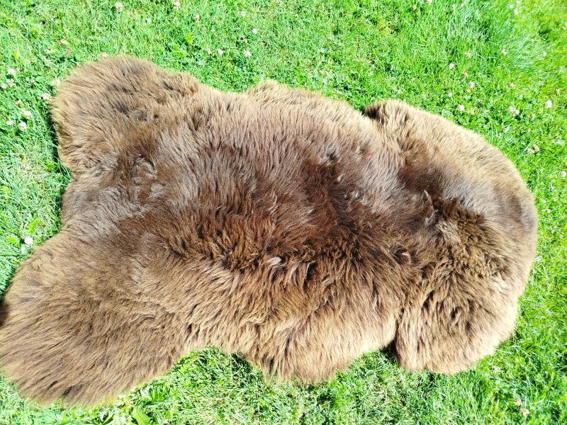 Dutch Sheepskins
