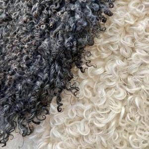 Gotland Sheepskins