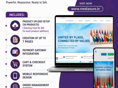 Professional E-Commerce Website Development Starting at ₹45,000