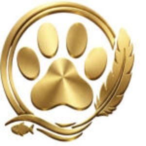 Quality Pet Care Solutions for Busy Pet Parents