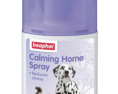 Calming Spray for Cats – Help Your Cat Feel Relaxed & Stress-Free
