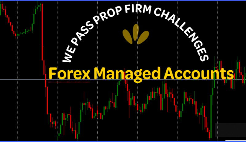 We Help Traders to get Funded Accounts on Prop Firms