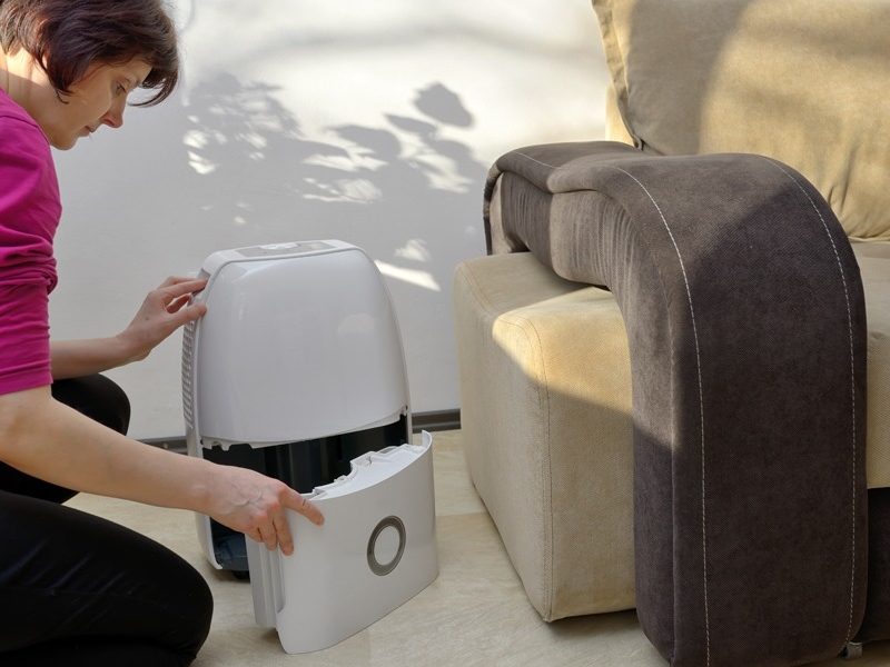 Maximize Space with Ceiling Dehumidifiers