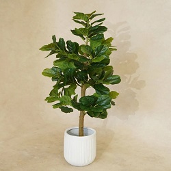artificial plants Melbourne